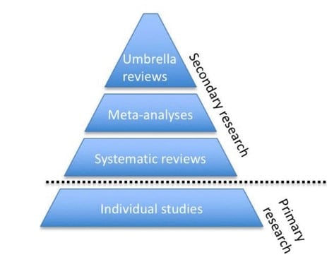 Meta review description from Fusar-Poli